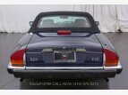 Thumbnail Photo 8 for 1989 Jaguar XJS